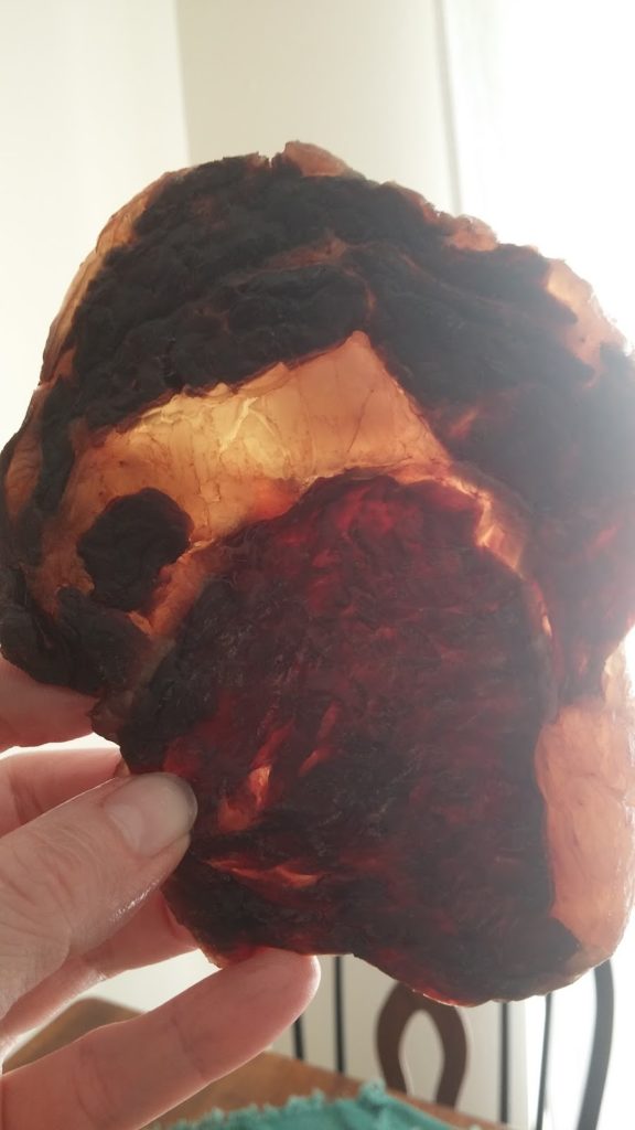 https://empirica.mytimpani.co.uk/wp-content/uploads/2016/03/ribeye-jerky-sunlight-576x1024.jpg